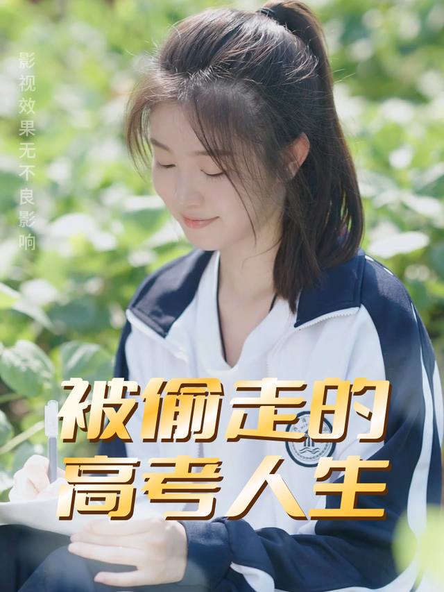 被偷走的高考人生封面