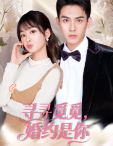 寻寻觅觅,婚约是你封面