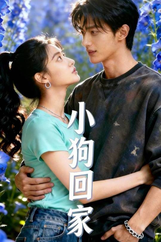 小狗回家封面