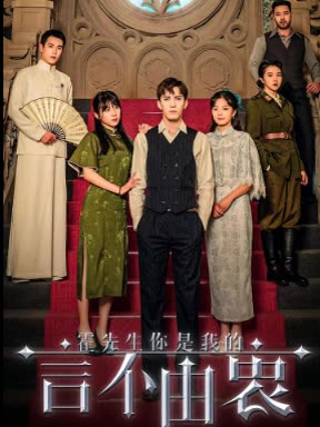 新霍先生,你是我的言不由衷封面