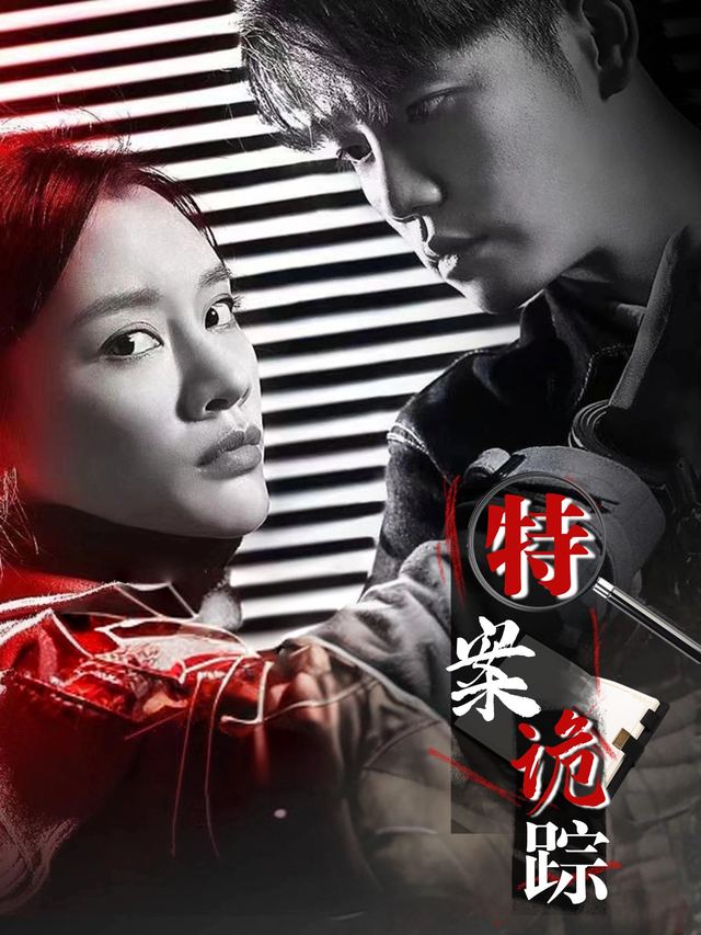 特案诡踪封面