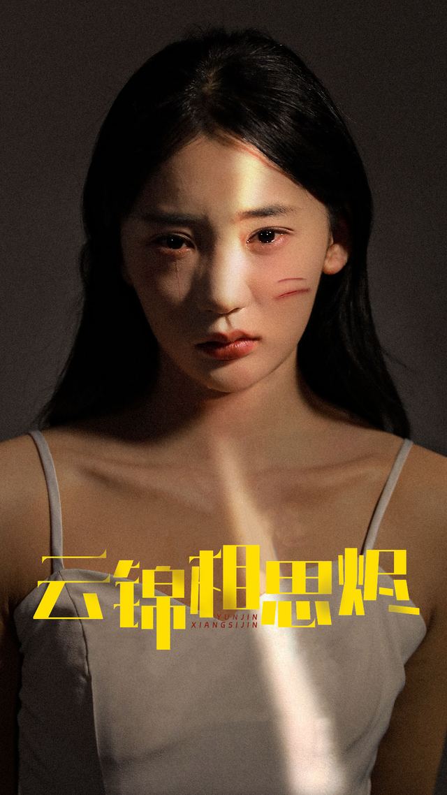 云锦相思烬封面
