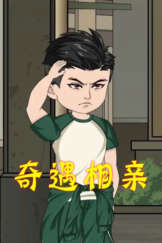 奇遇相亲封面
