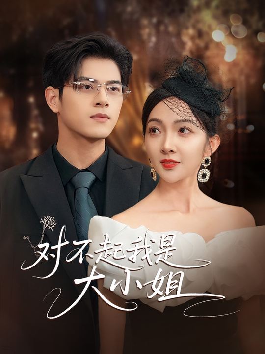 对不起我是大小姐封面