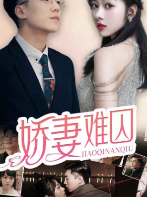 新娇妻难囚封面