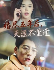 婚尽五年后,天涯不重逢封面