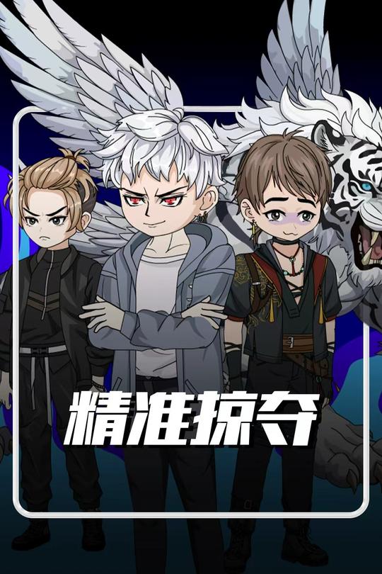 精准掠夺封面