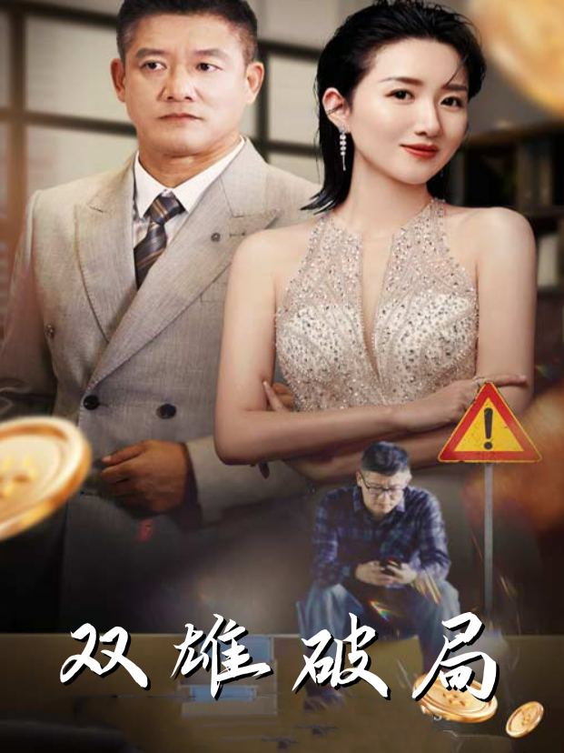 双雄破局封面