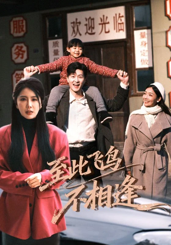 至此飞鸟不相逢封面