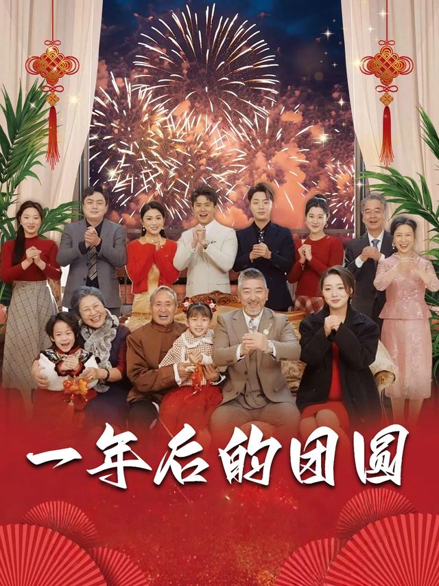 一年后的团圆封面