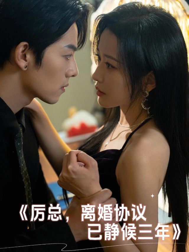 厉总,离婚协议已静候三年封面