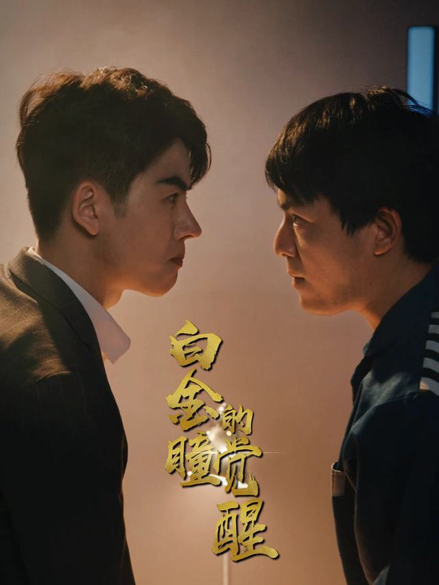 白金瞳的觉醒封面