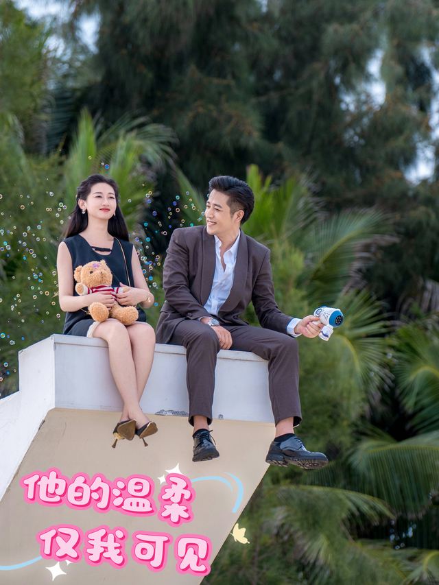 他的温柔仅我可见封面