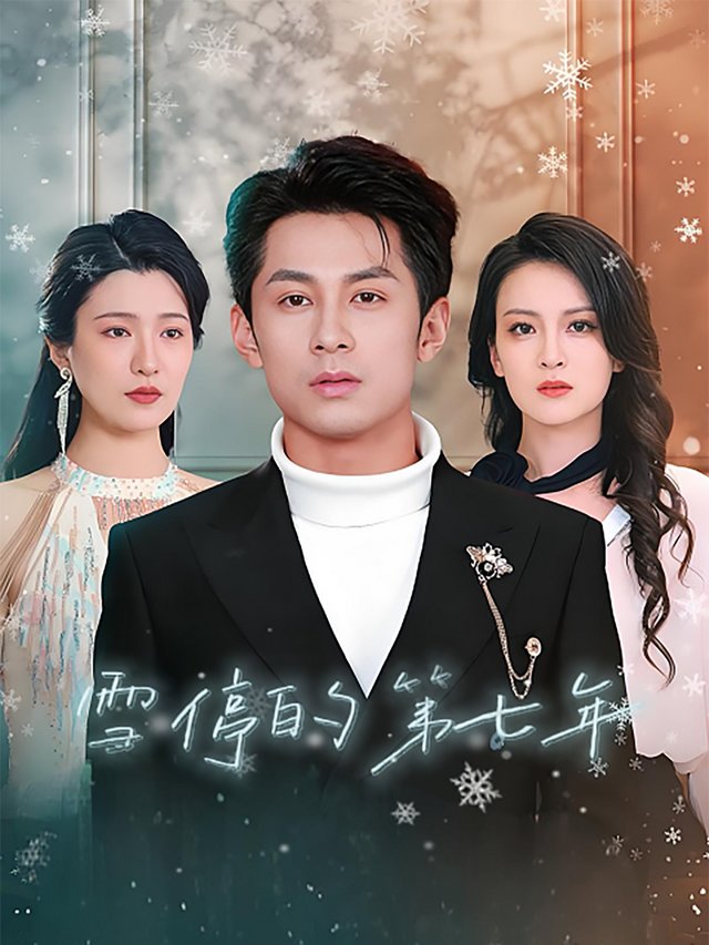 雪停的第七年封面