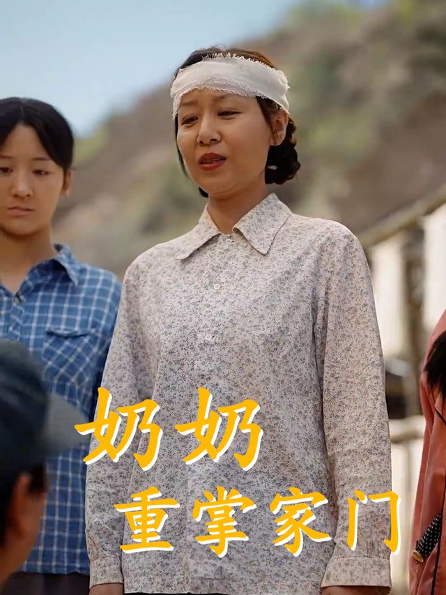 奶奶重掌家门封面