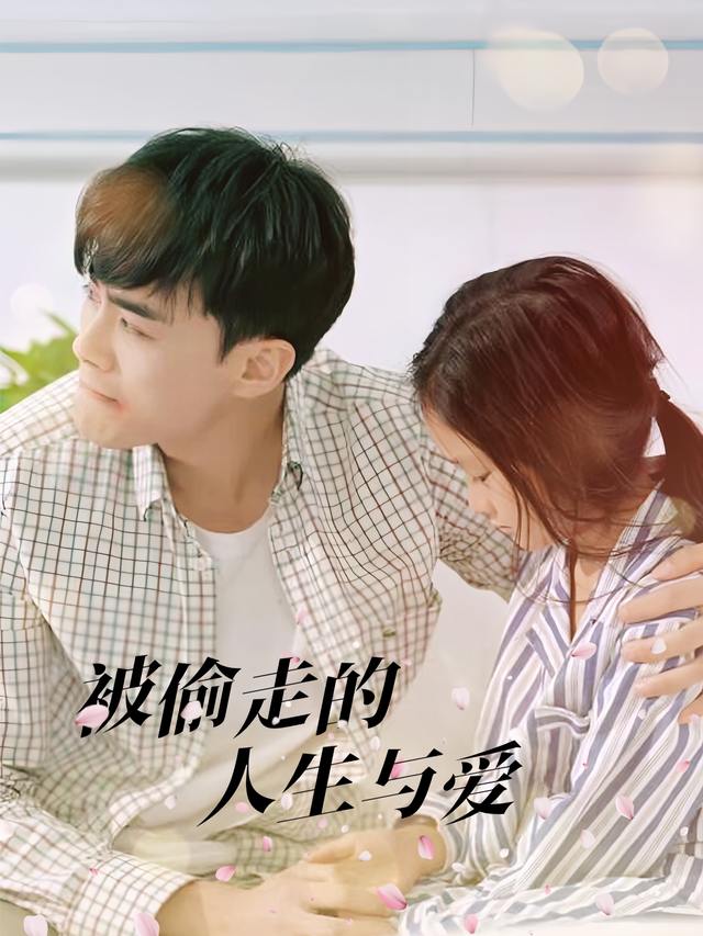 被偷走的人生与爱封面