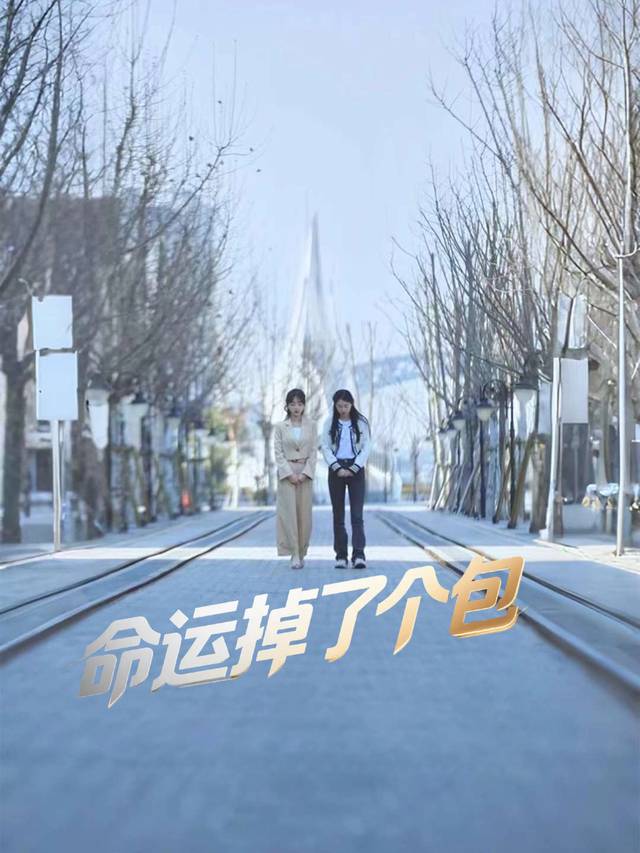 命运掉了个包封面