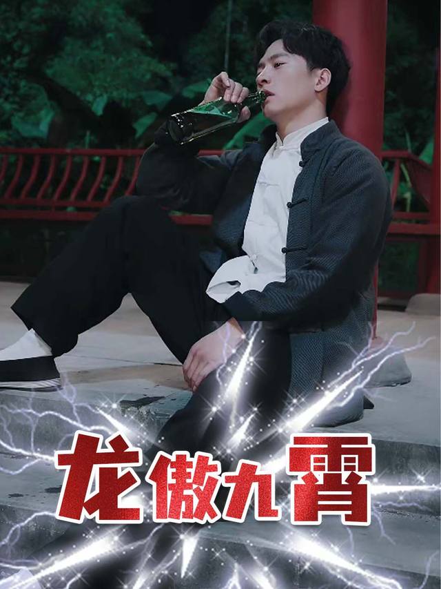 龙傲九霄封面