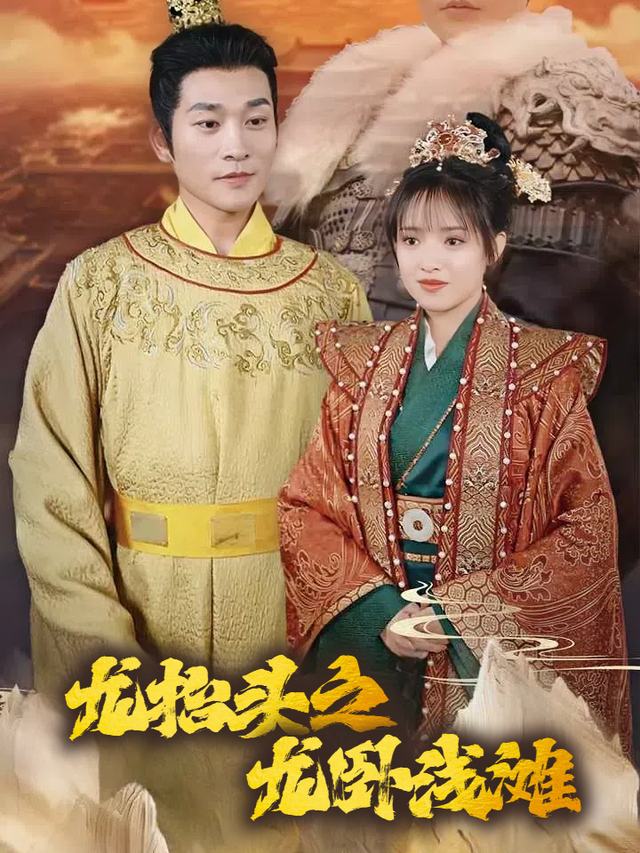 龙抬头之龙卧浅滩封面