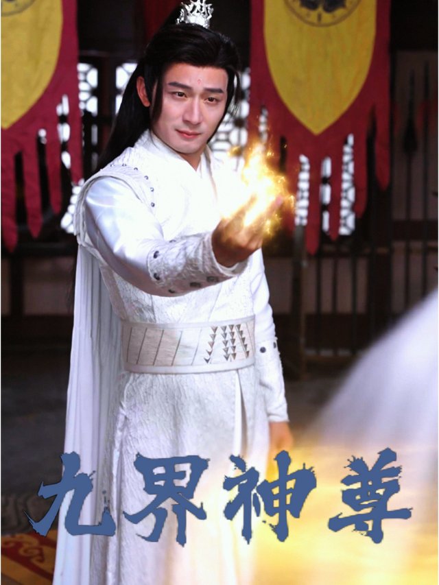 九界神尊封面