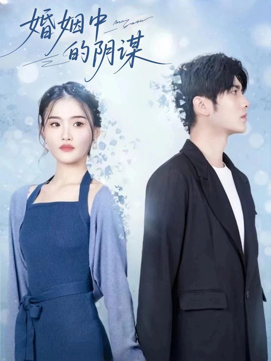 婚姻中的阴谋封面
