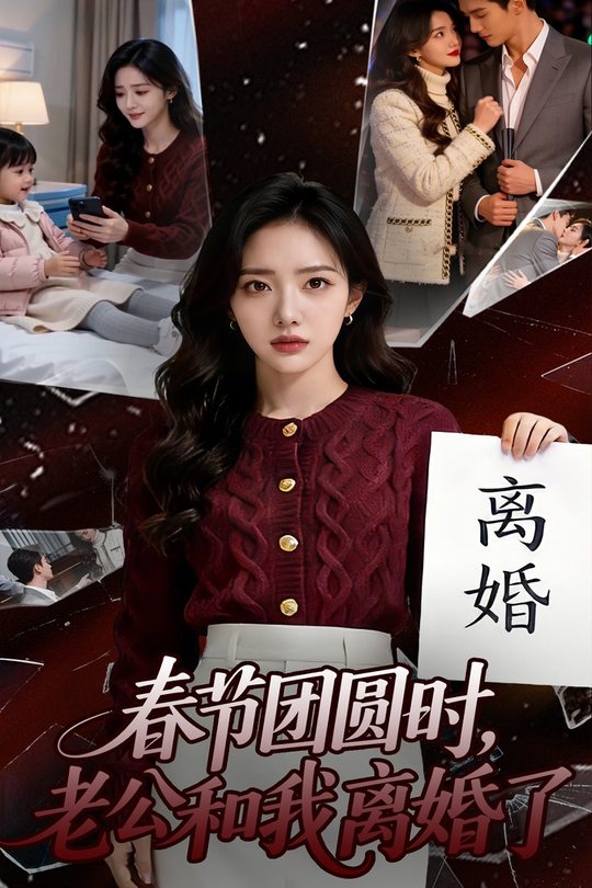 春节团圆时,老公和我离婚了封面