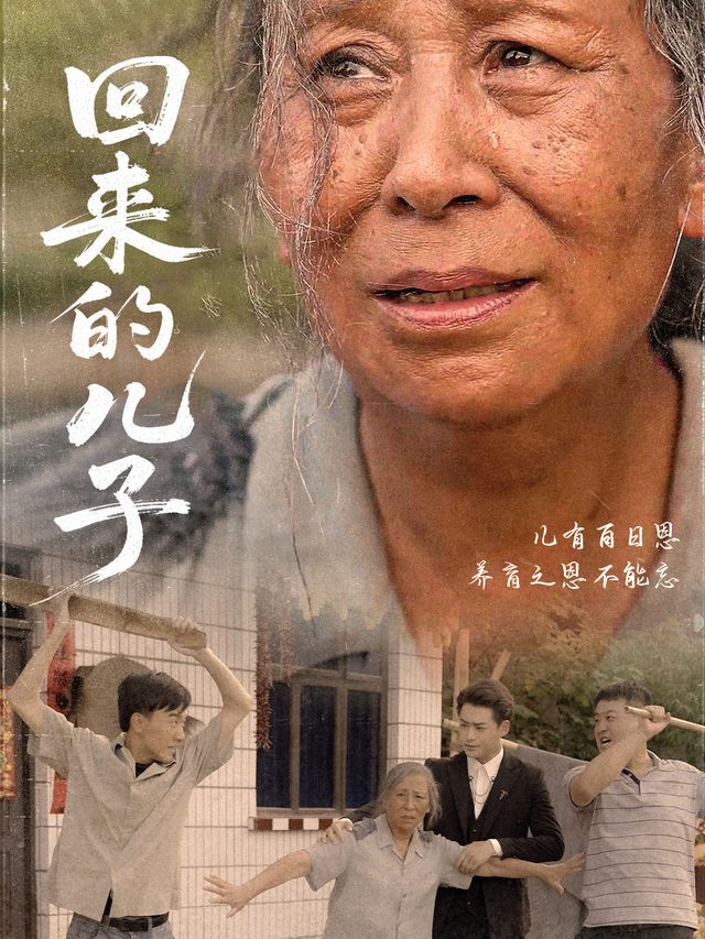 回来的儿子封面
