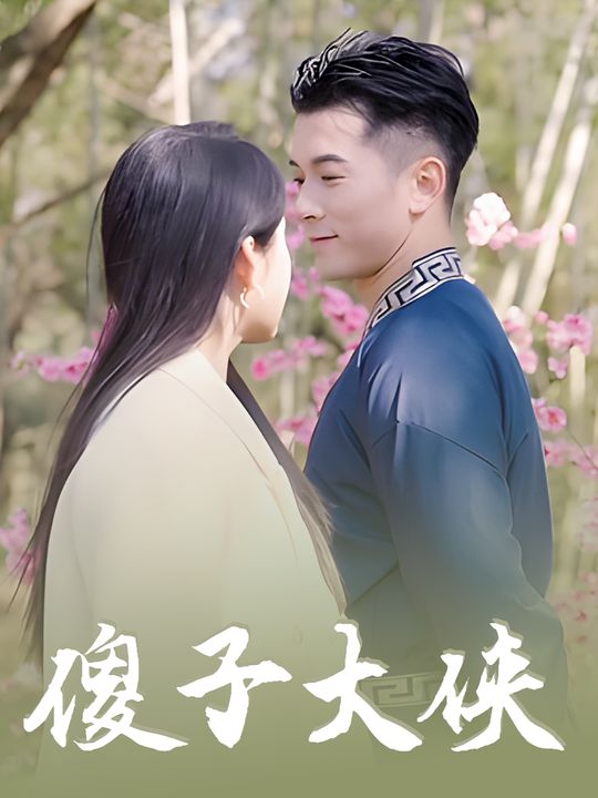 傻子大侠封面