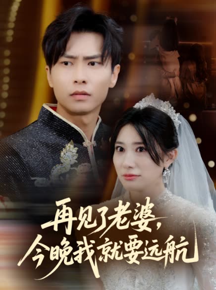 再见了老婆,今晚我就要远航封面