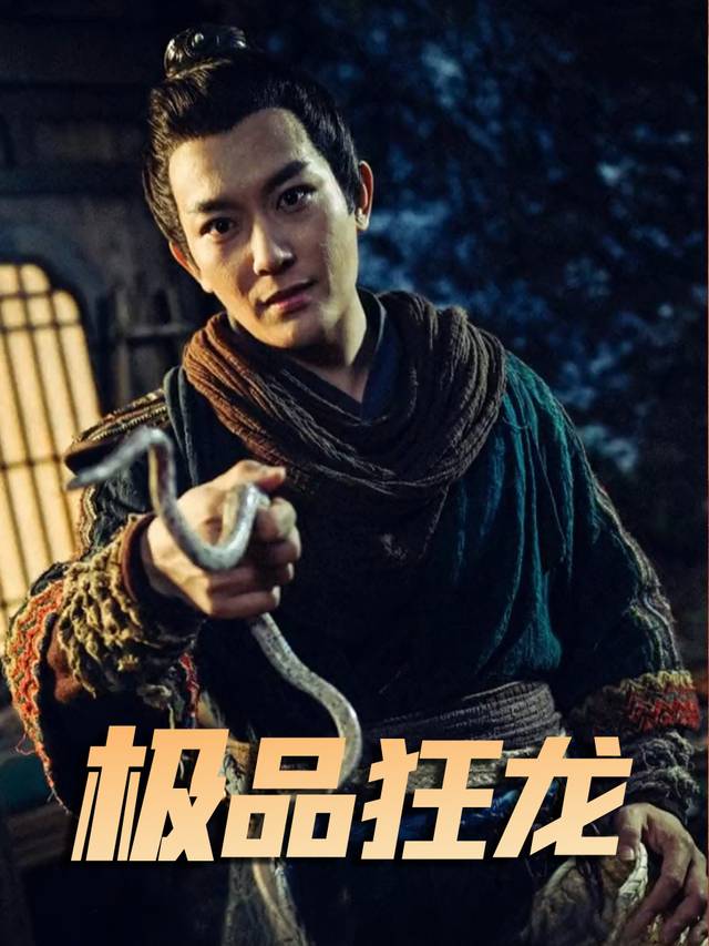 极品狂龙封面