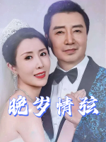 晚岁情弦封面