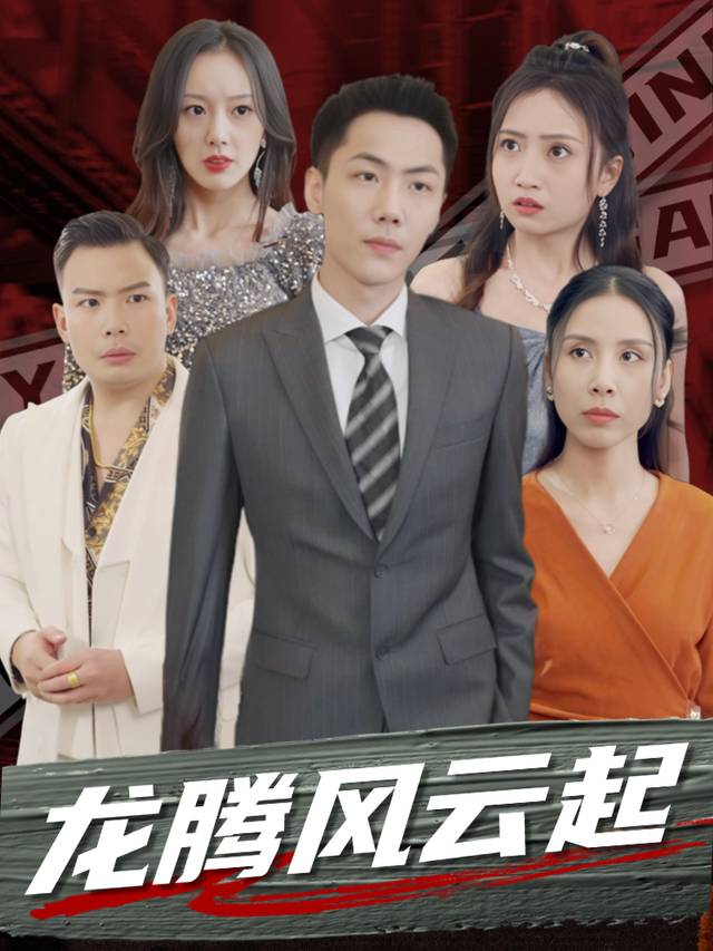 龙腾风云起封面