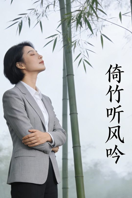 倚竹听风吟封面