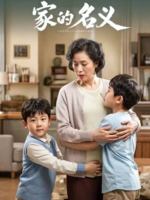 家的名义封面