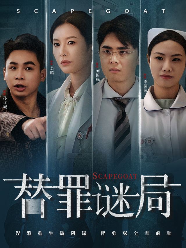 替罪谜局封面