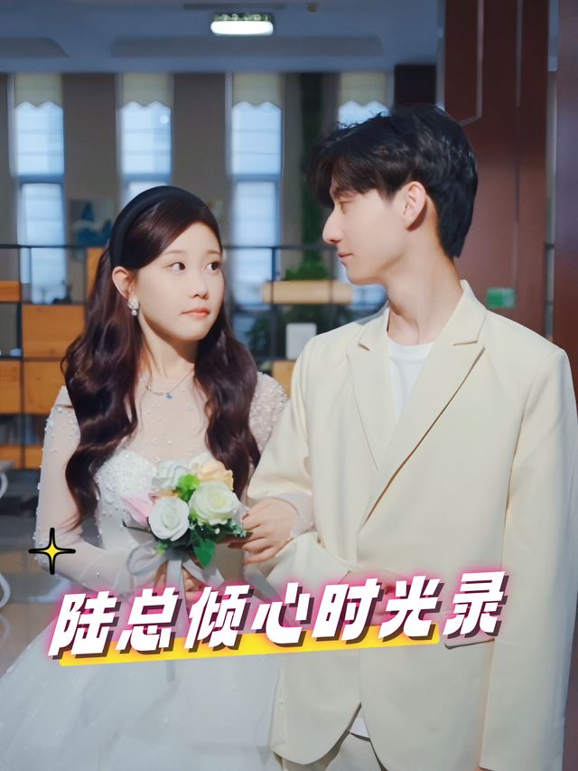 陆总倾心时光录封面