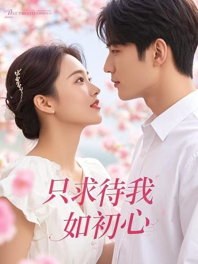 只求待我如初心封面