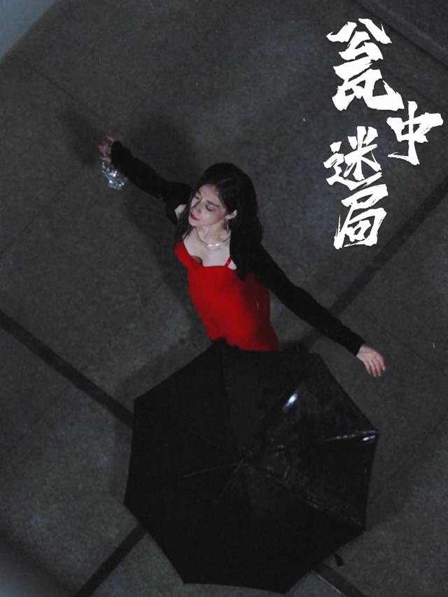 瓮中迷局封面