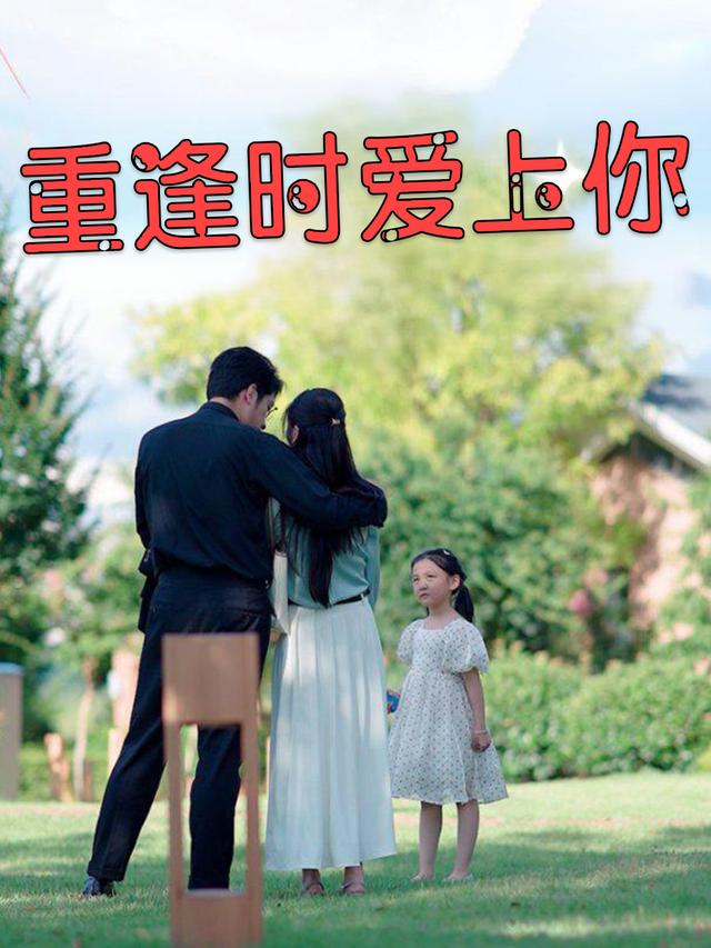 重逢时爱上你封面