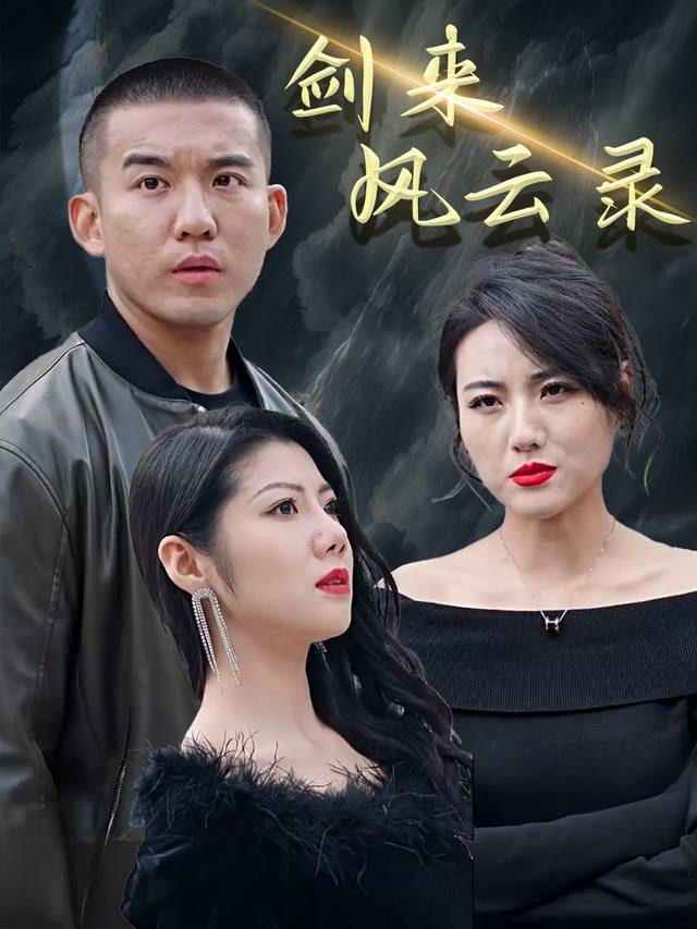 剑来风云录封面