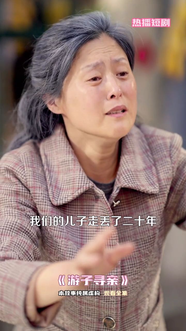 游子寻亲封面
