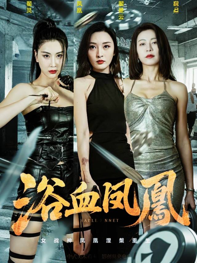 浴血凤凰封面
