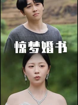 惊梦婚书封面
