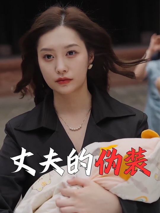 丈夫的伪装封面