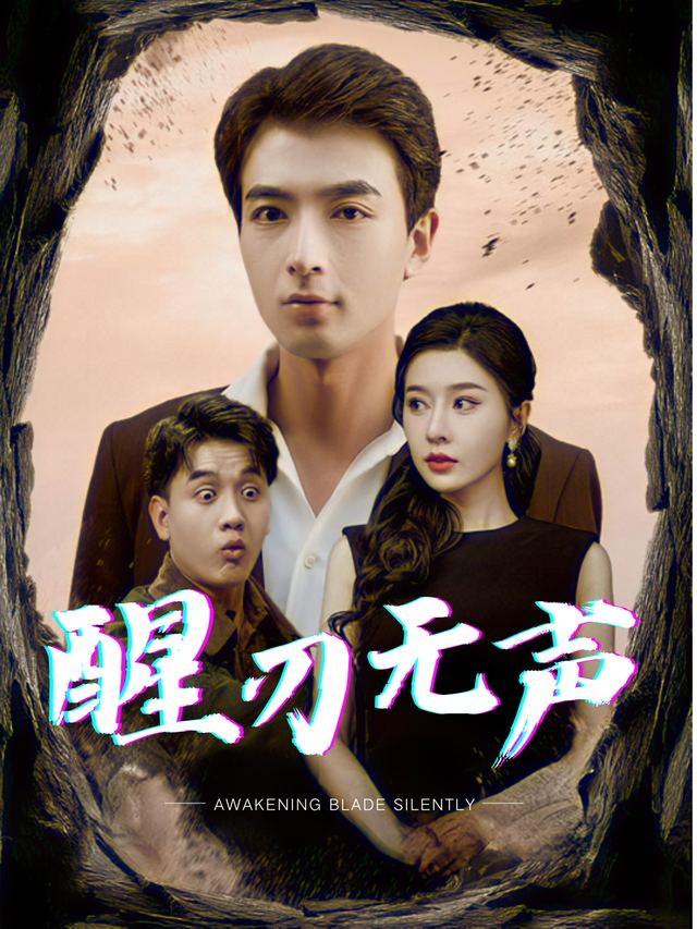 醒刃无声封面