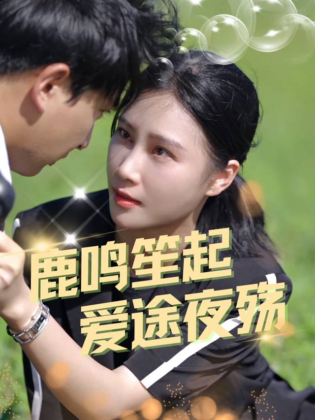 鹿鸣笙起,爱途夜殇封面