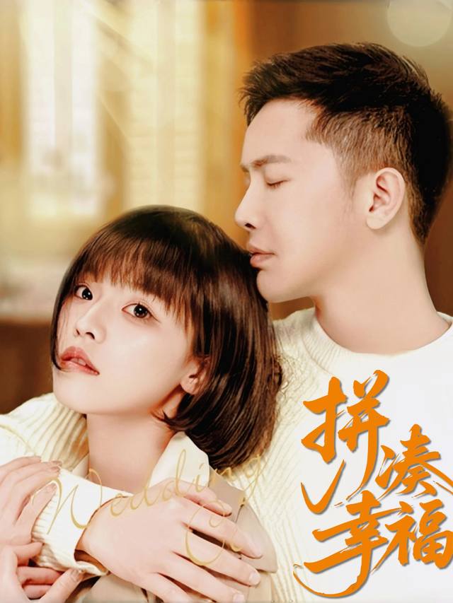 拼凑幸福封面