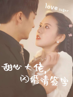 甜心大佬,闪婚请签字封面