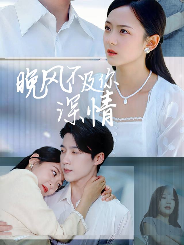 晚风不及你深情封面