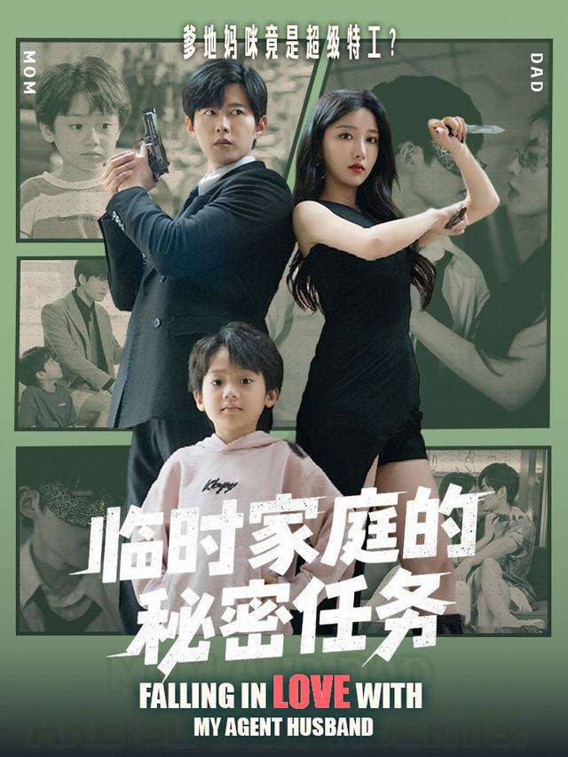 临时家庭的秘密任务封面